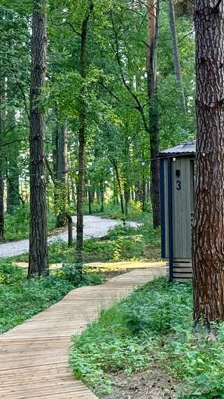 Прогулки в лесу